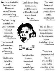 S301 Einstein Quotes