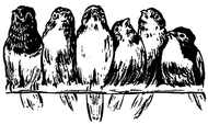 SD788 Row of Birds