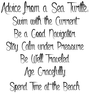 SD771b Advice from a Sea Turtle