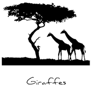 SD690 Giraffes, Set of 2