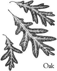 S335 Vintage Botanical Oak