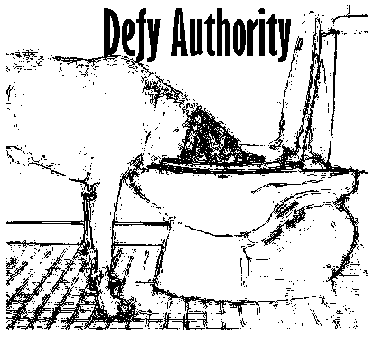 SD849 Defy Authority