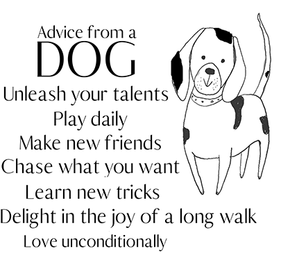 SD866 Advice from a Dog