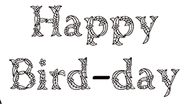 Happy Bird-Day