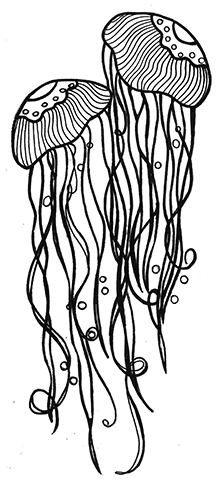 RB011 Jellyfish
