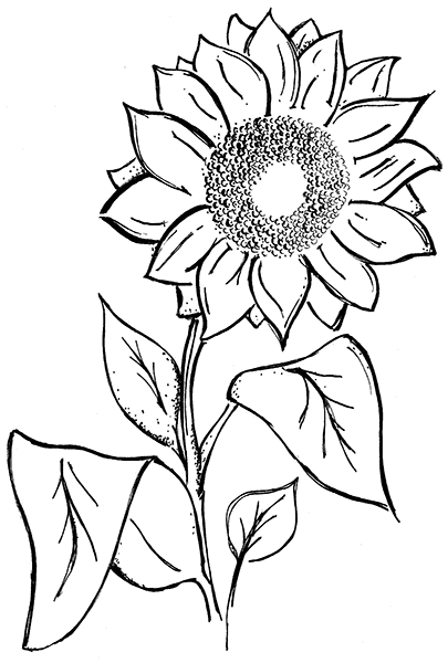 SD894 Single Sunflower