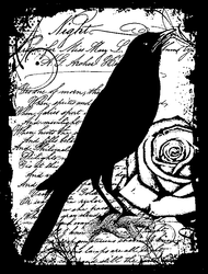 S820 Raven Collage