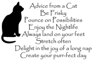 Advice from a Cat