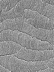 Texture Waves