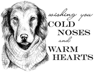 Cold Noses