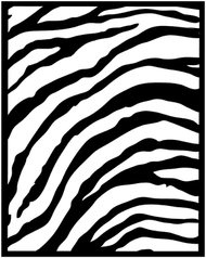 S467 Zebra