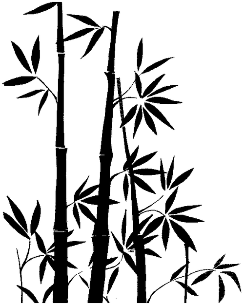 S571 Bamboo