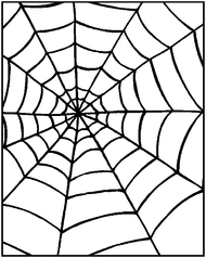 S578 Large Spider Web