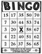 SD102 Bingo Card, Small