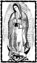 SD104 Virgin of Guadalupe
