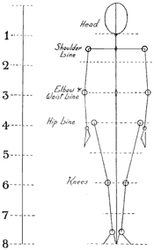 SD137 Proportions