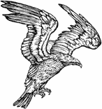 SD187 Eagle, Left