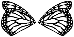 SD239 Butterfly Wings 2