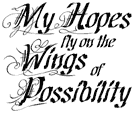 SD307 Wings of Possibility