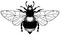 SD333 Big Bee