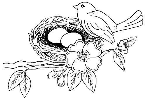MC001 Nesting Bird