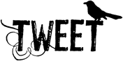 SD417 Sweet Tweet Bird
