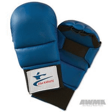 AWMA® NKF USA Karate Gloves