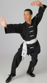 KWON® Dragon Kung Fu Uniform