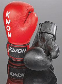 KWON® Mold-Tec Boxing Gloves