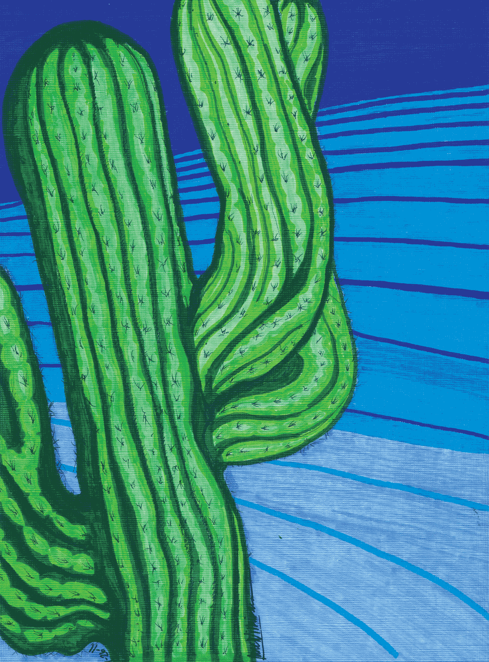 cactus.gif