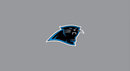 Panthers 8' Logo Cloth