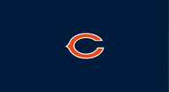 Bears  8' Logo Cloth