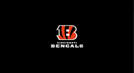 Bengals 8' Logo Cloth