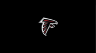 Falcons 8' Logo Cloth