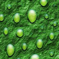 ArtScape 8' OS Green Drops Pool Table Cloth