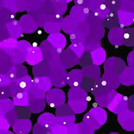 ArtScape 8' OS Purple Cells Pool Table Cloth