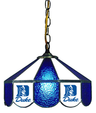 Duke 14" Swag Hanging Lamp