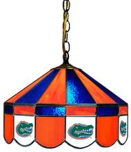 Florida 16" Swag Hanging Lamp