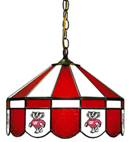 Wisconsin 16" Swag Hanging Lamp