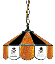 Wake Forest 14" Swag Hanging Lamp